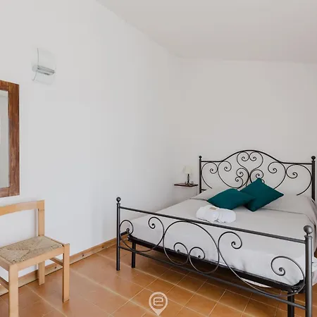 Estay - Girasole - Petalo * بولا
