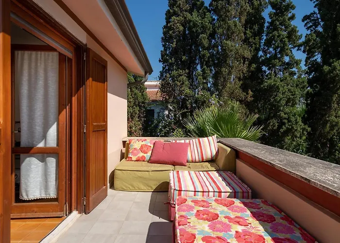 Girasole - Petalo * Pula