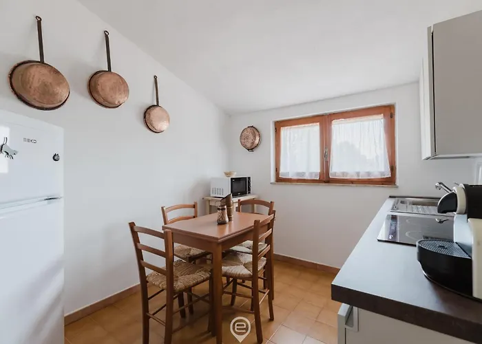 Girasole - Petalo Pula